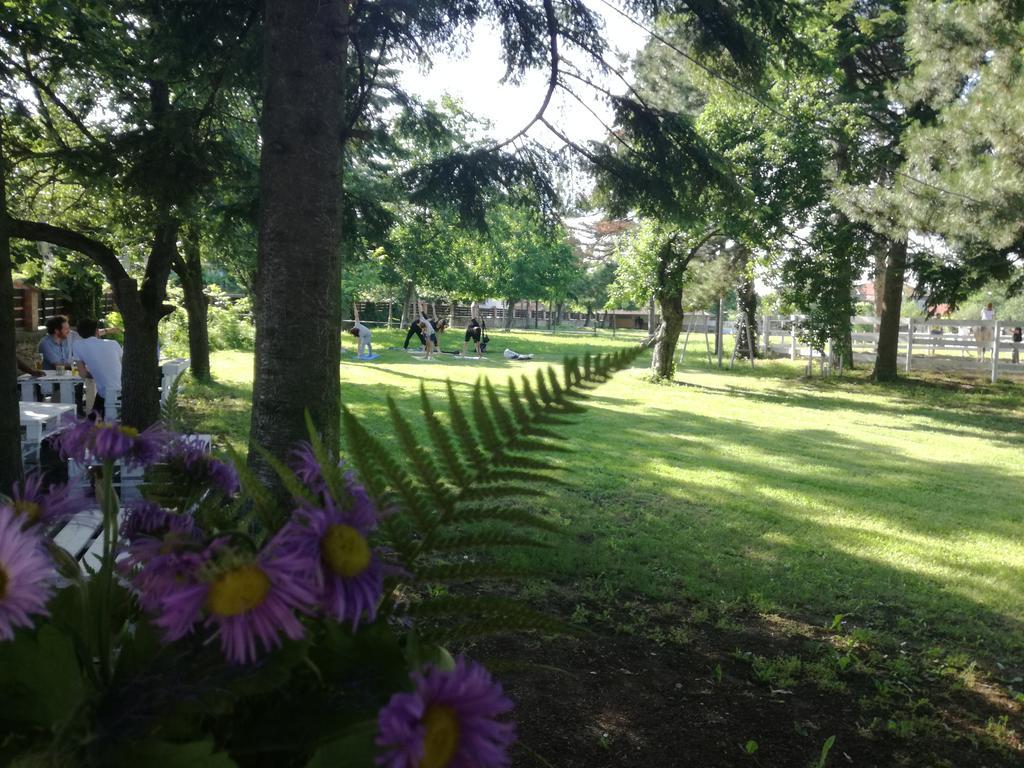 Guest House Ongal Krusuna Kültér fotó